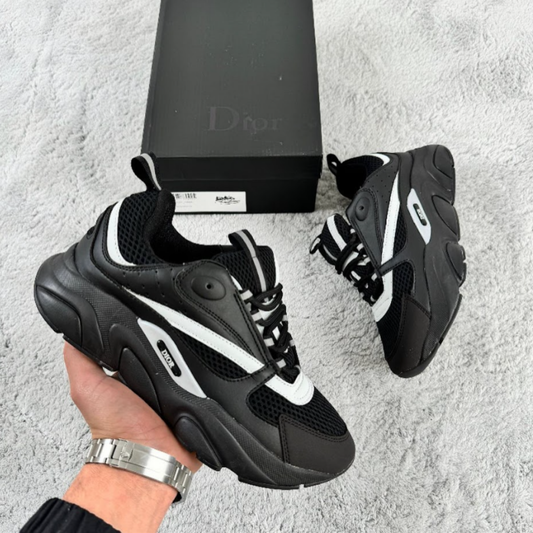 DIor B22