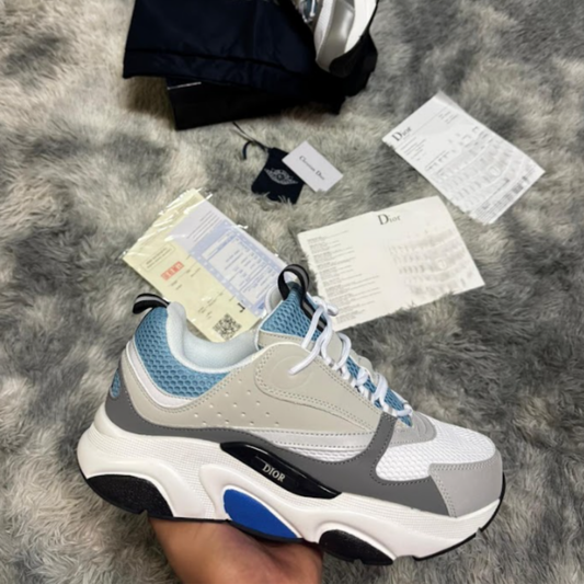 Dior B22