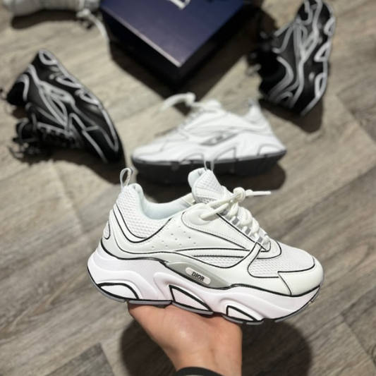 Dior B22